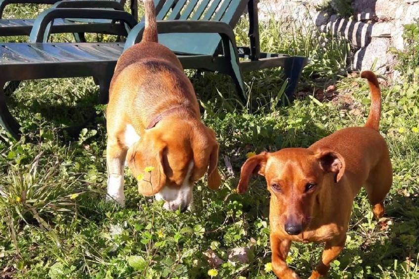 Locations-06 - das haus von noelie 1. stock - foto 26