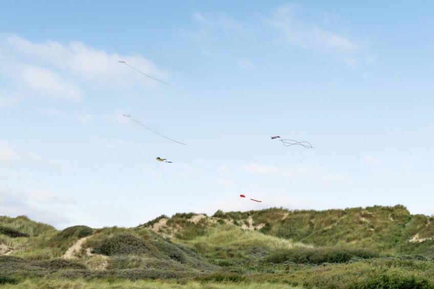 "Betti" - 200m from the sea in Western Jutland - foto 42