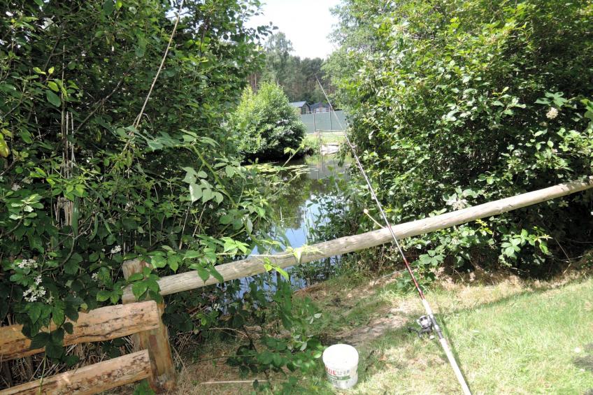 Pod świerkami pokój nr 4 dla 5 osób - foto 24