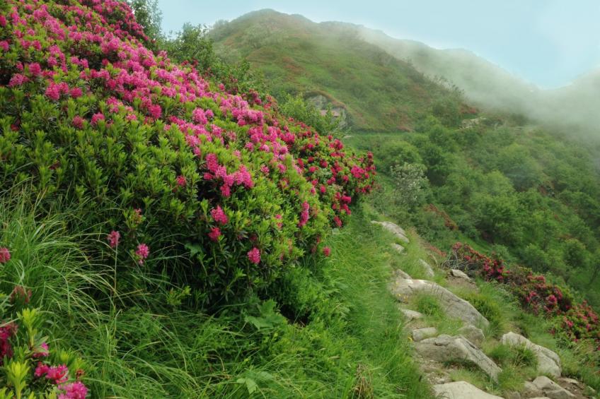 Wohlfühlort - foto 18