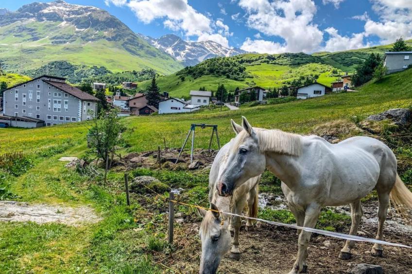 mit Panoramablick in die Bergwelt - foto 15
