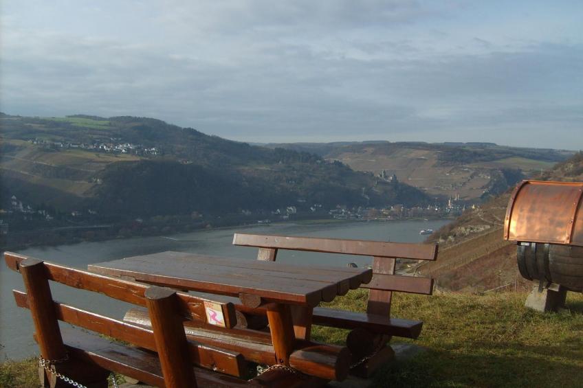 mit Balkon und Rheinblick - foto 22