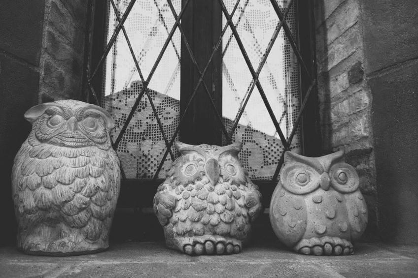 OWL Apartment - Pool - Ansichten - Kunst - foto 23