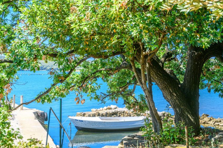 Wunderschönes Ferienhaus in Pomer mit Garten - foto 4