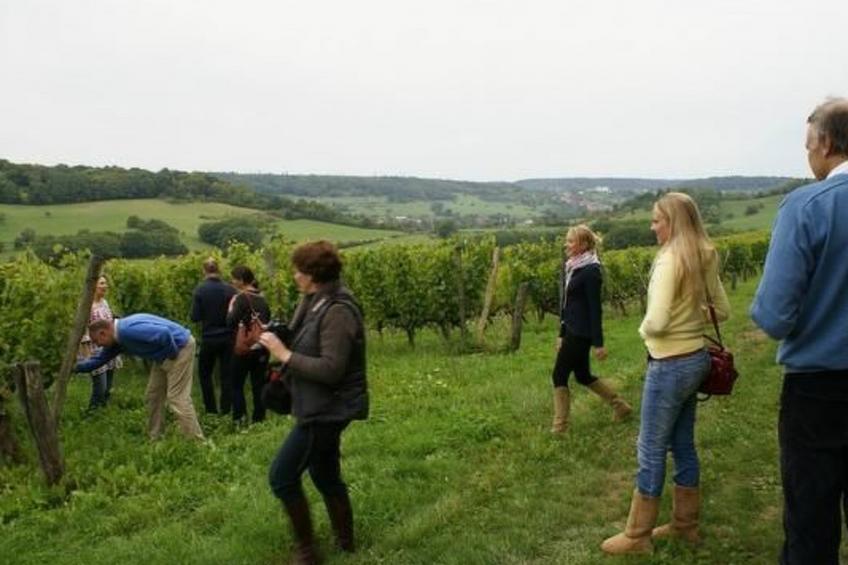 in Le Châtelet-Sur-Meuse mit Grill, Garten und Terrasse - foto 6