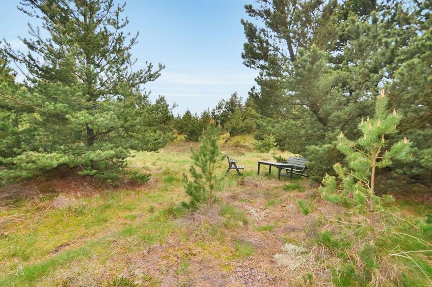 "Ernst" - 700m from the sea in Western Jutland - foto 19