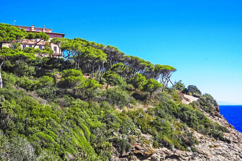 Cantinone 3 - foto 36