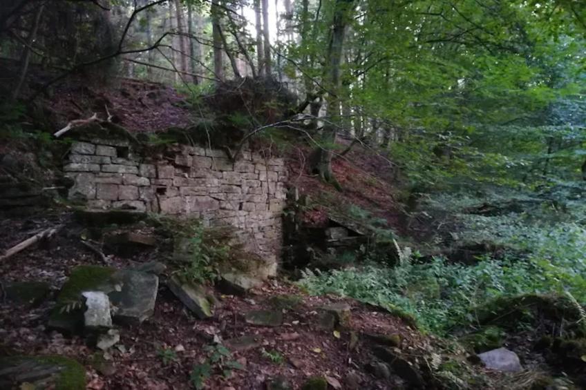 Am Ferienhof - foto 22