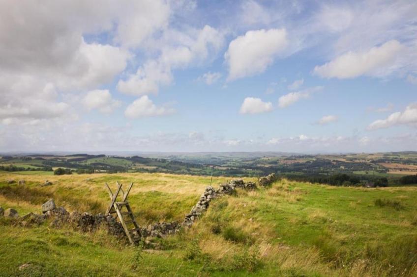 Blackcleugh Glamping - foto 38