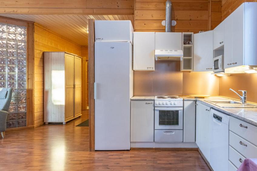 Näsinjoutsen - foto 9