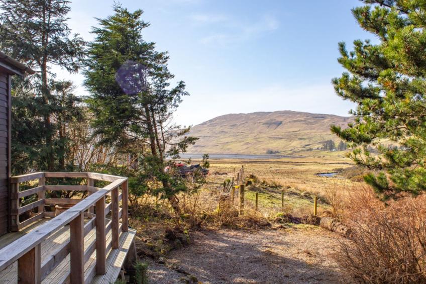 Blue Lobster - foto 49