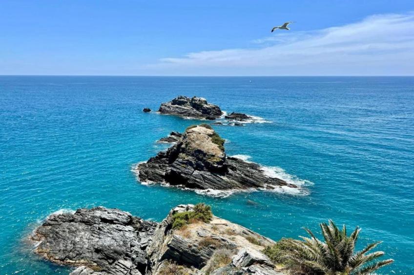 Apartamento Reina Sofía Primera linea de playa - foto 36