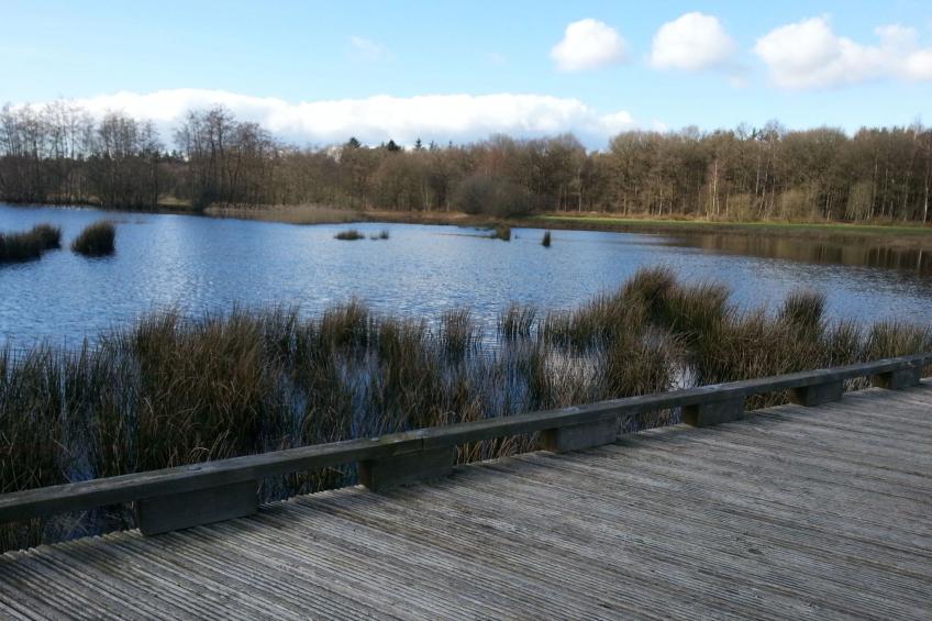 Geschmackvoll eingerichtetes Bauernhaus aus dem 19. - foto 36