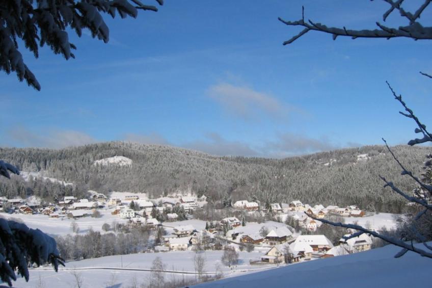 Appartement in Wittenschwand - foto 25