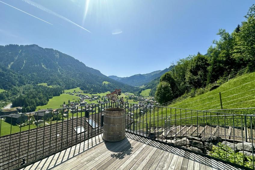 Schwarzmann - foto 46