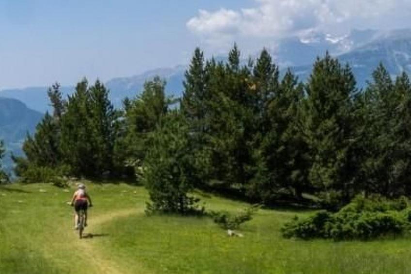 Appartement mit Terrasse - foto 37