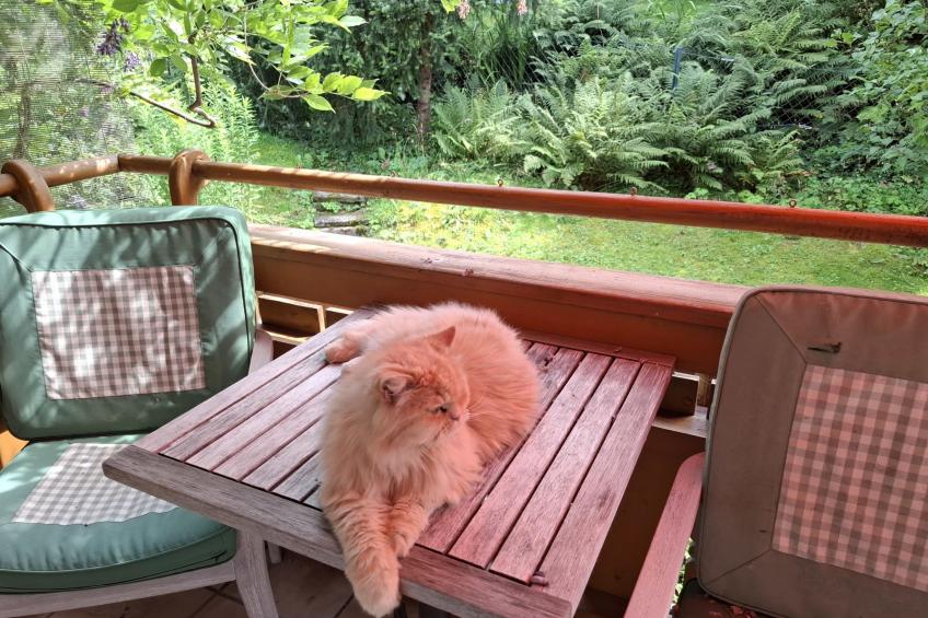 Martinsklause - foto 49