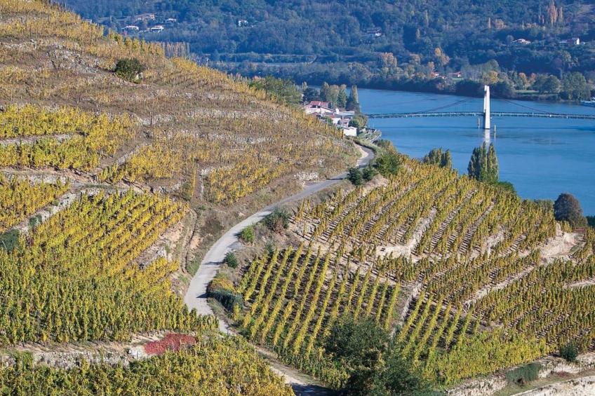 Die Ufer der Rhone - foto 19