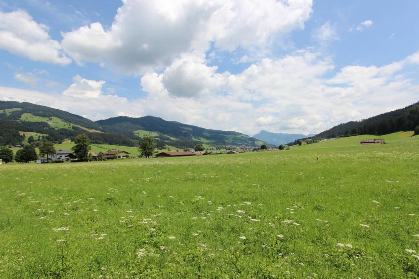 Brixental I - foto 17