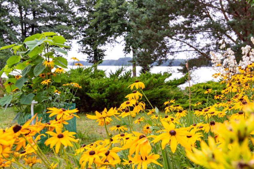 Głęboczek 1 - foto 24