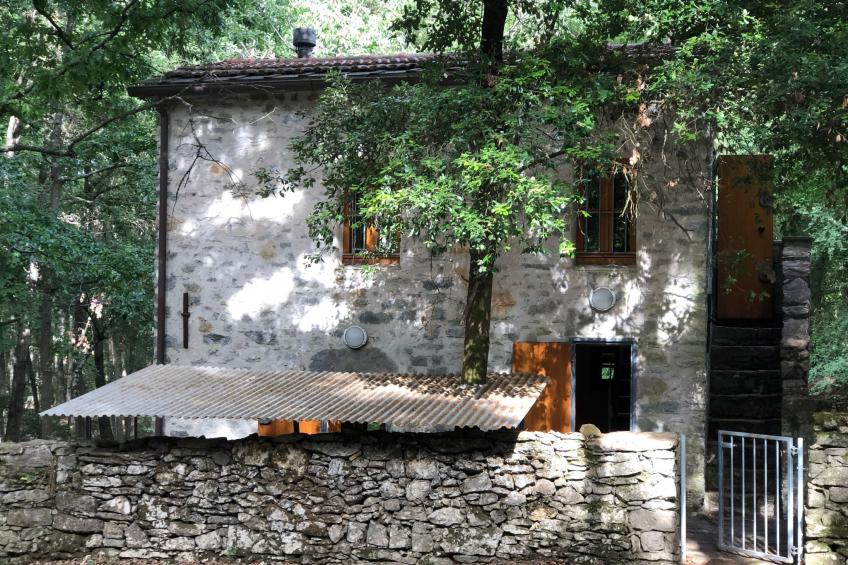 Kirschbäume, eine Oase im Wald zwischen Meer und Natur - foto 39