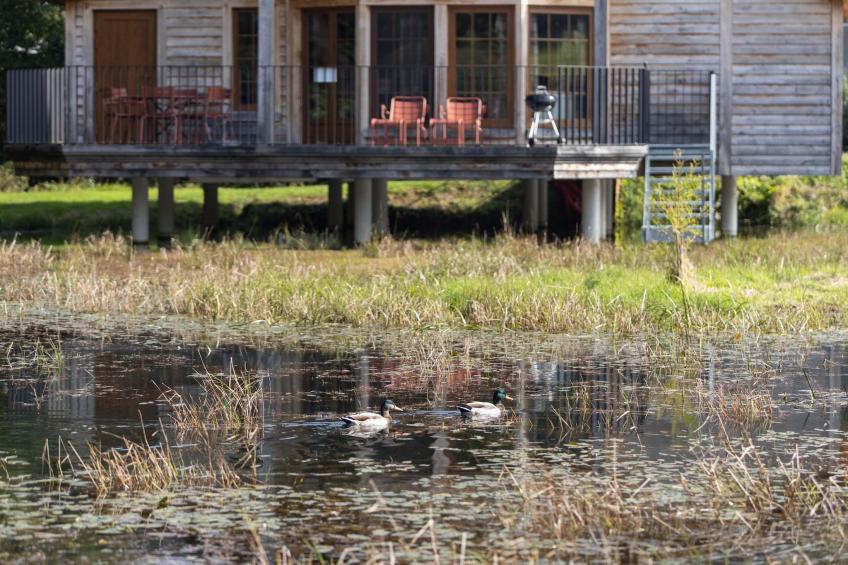 Cabane The Early Birds - foto 29