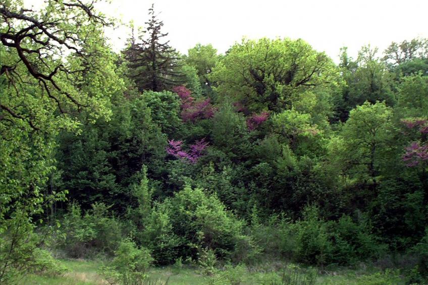 'Palazzo Bufalini - foto 25