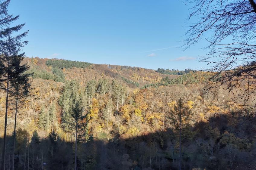 Budget Double Room - foto 22