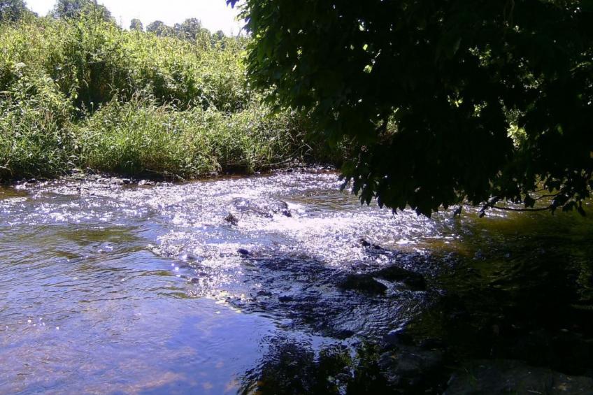 Kommerswag - foto 49