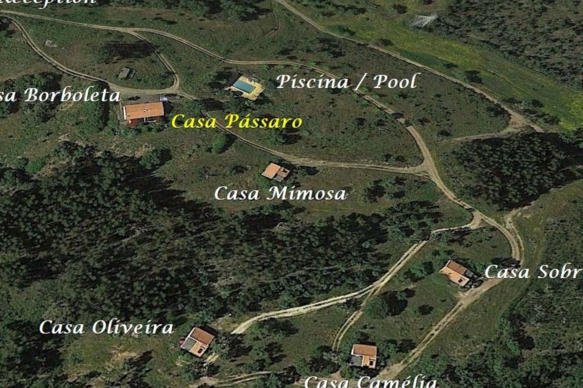 Monte Horizonte Casa Passaro Öko und Natur - foto 2