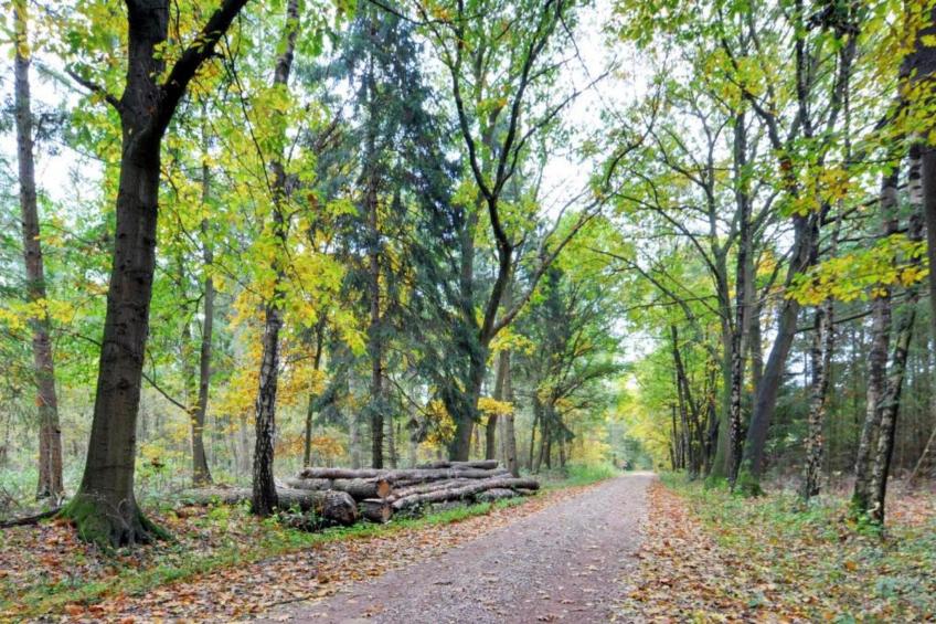 Vakantiepark Hessenheem 1 - foto 30