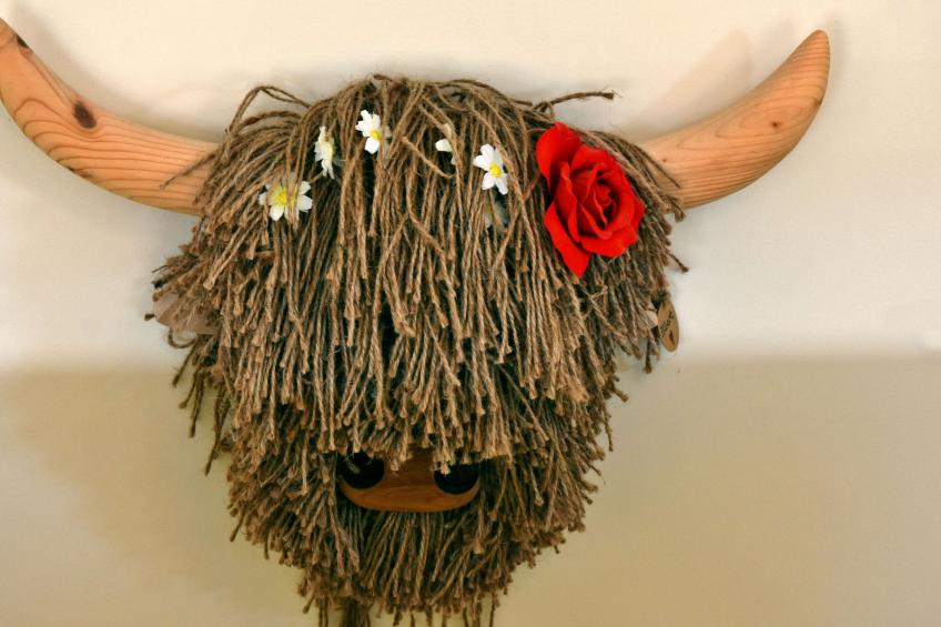 Dales Barn Top - foto 22