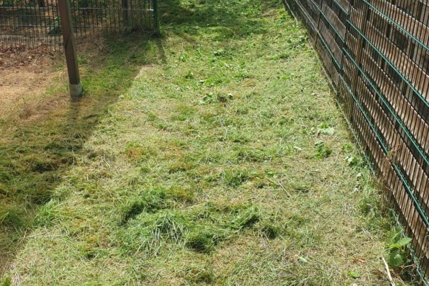 Haus am Ostsee - foto 6