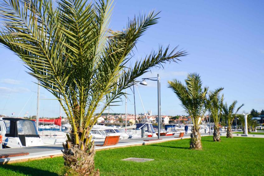 Holiday apartment with air conditioning - BF-Y2TG - foto 23