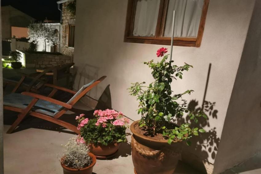 Double room with terrace (S1) - foto 11