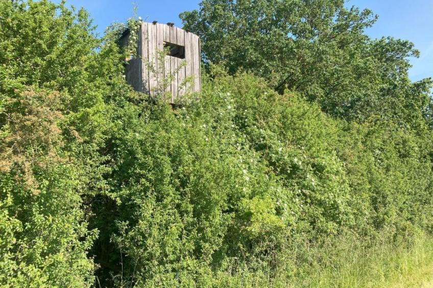 Bungalow Mecklenburgische Seenplatte - foto 33