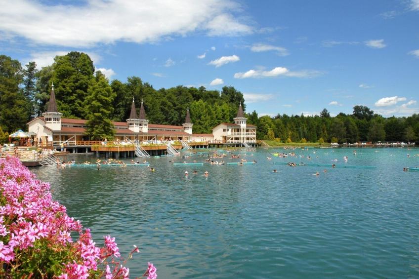 auf großem Gartengrundstück - foto 27