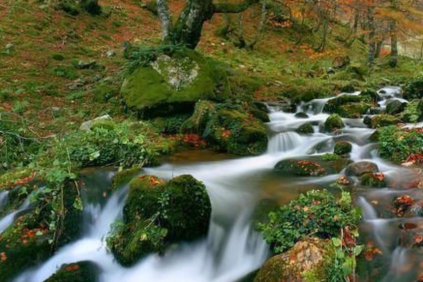 Ländliches Haus La Carrozal Senda del Oso - foto 39