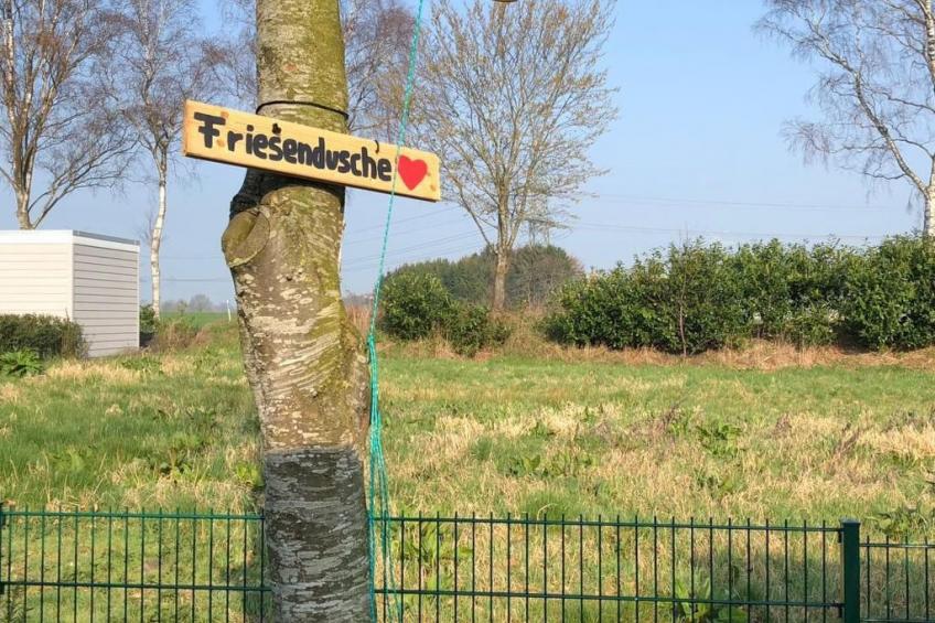 Storchennest - foto 8