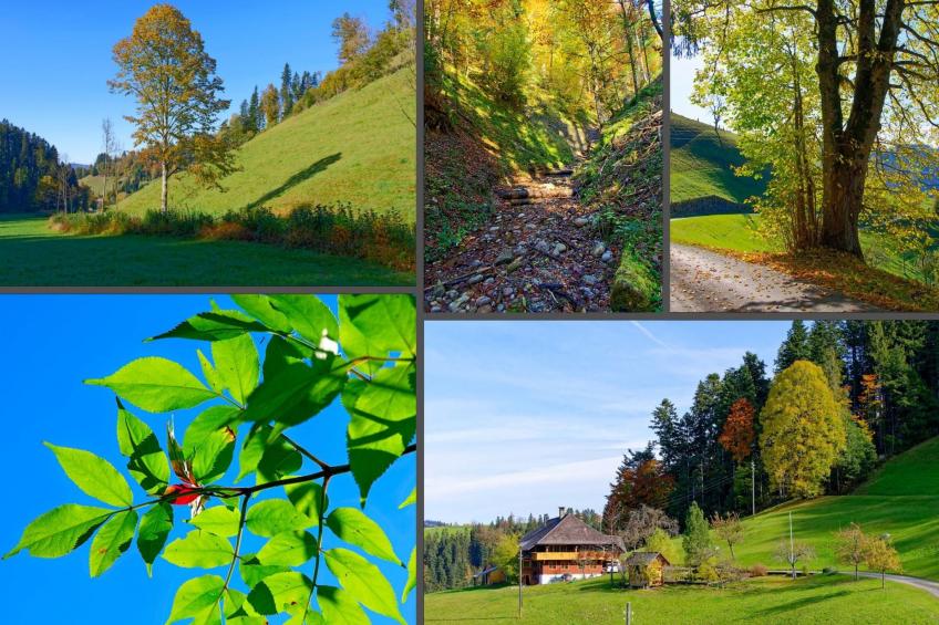 Emmental Ferien - foto 35