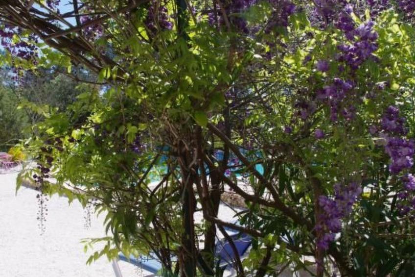 "La Cigale" mit Schwimmbad - foto 30