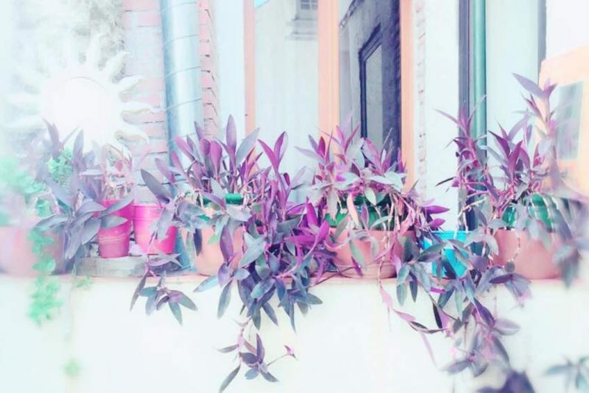 Résidence St Vincent - foto 91