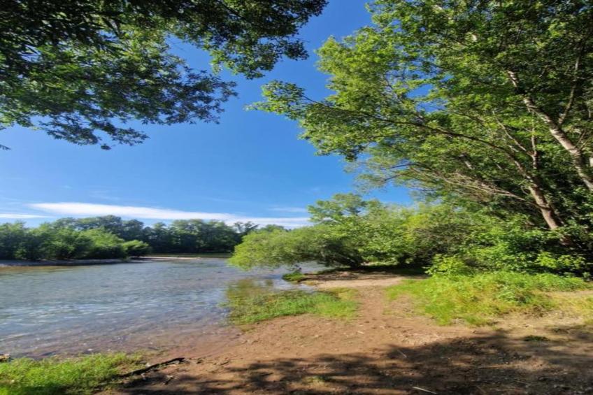 Mas La Cigalière - foto 33