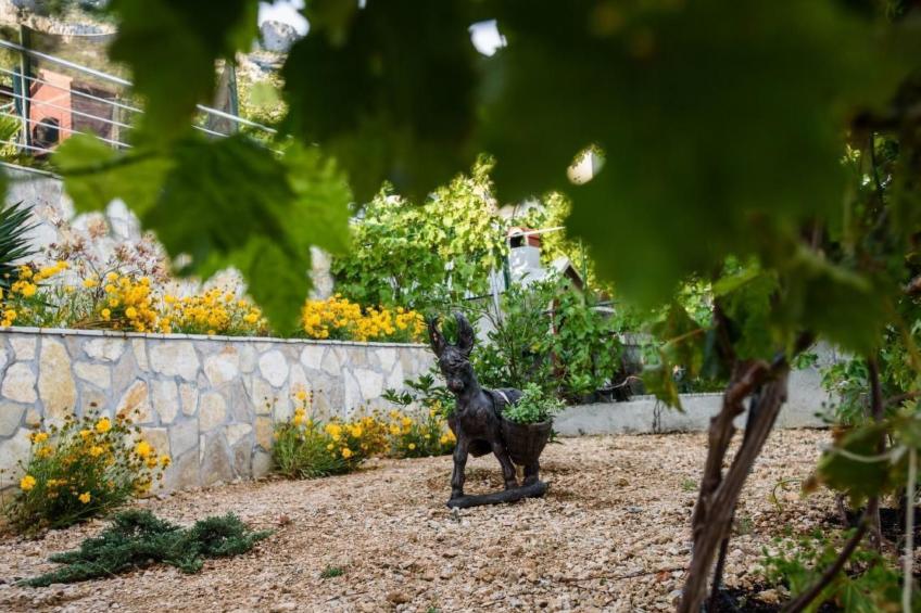 Villa Dusanka - foto 38