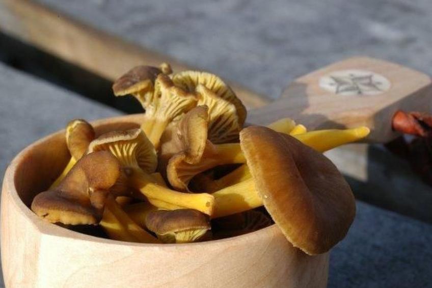 Charmantes Blockhaus, Sauna und Kamin - foto 19