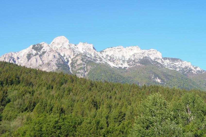 Wohnung in Campregheri mit Terrasse - foto 15