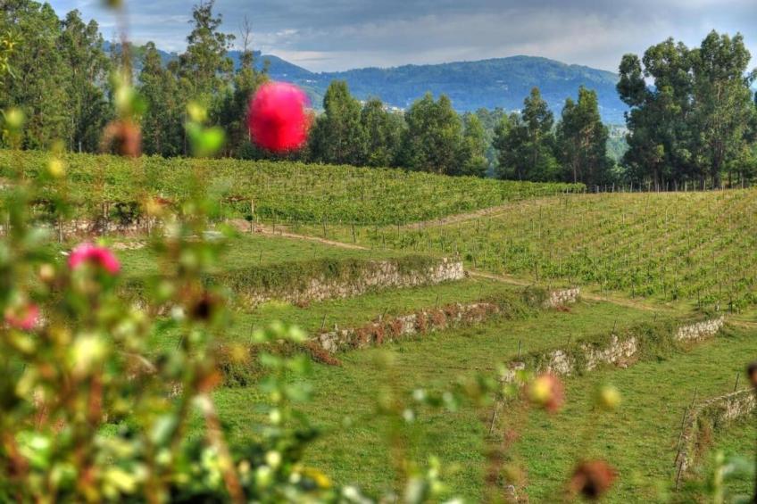 Casa do Tanque - foto 28