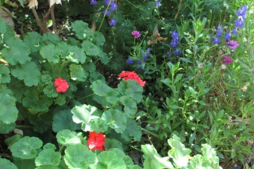 Eine Oase der Ruhe mitten in der Stadt - foto 33