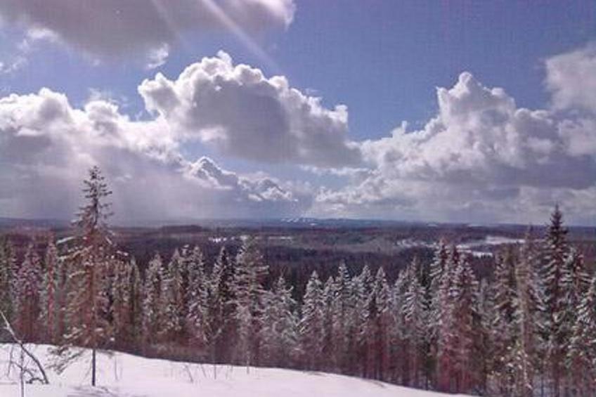 Villa savonia - foto 26