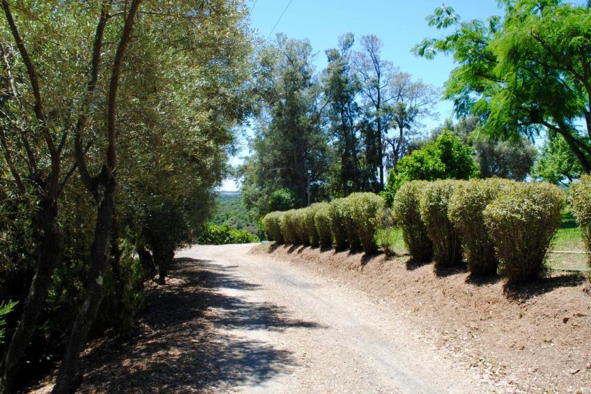 Villa Belle Vue, direkt am Meer, 1-2 Haustiere erlaubt - foto 7